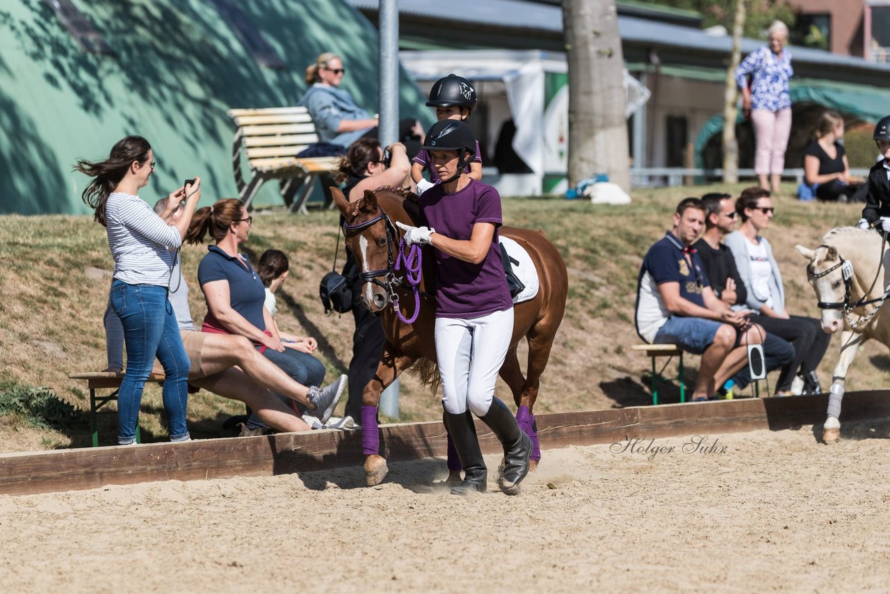 Bild 29 - Pony Akademie Turnier